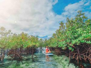 Toliz Beach House -Sipaway Island San Carlos City