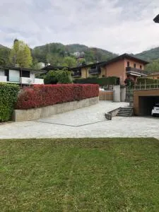 Homely Albino - Cene