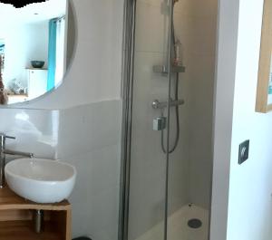 Maisons d'hotes LA MAISON DE LA DUNE - Chambres Climatisees - Jacuzzi 1ere seance offerte - Piscine chauffee avec Abri Amovible - Plage situee a 200m, acces direct par le bois : photos des chambres