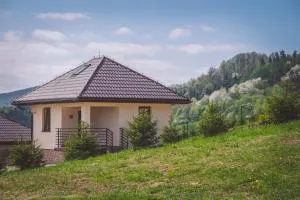 Domek w Bieszczadach - Górzanka
