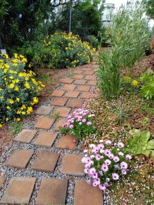 Casa Los Pinos - Sunset & WIFI