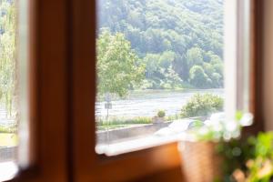 Haus Blaue Traube mit moselblick