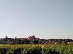 Maisons de vacances Olive View : photos des chambres