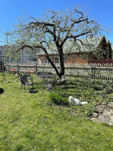 Lovely 2-bedroom apartment with free parking