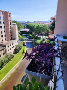 Appartements Le balcon de la basse centre ville de Perpignan : photos des chambres