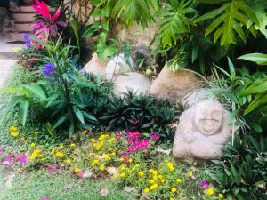 Casa Cereza Apartments