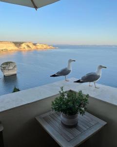 Sejours chez l'habitant Entre Ciel et Mer : photos des chambres