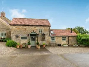 Owl's Nest - Stearsby