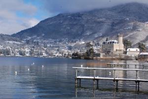 Appartements Les Libellules acces direct au lac, 7 apts du studio au 4 ch, LLA Selections by LocationlacAnnecy : photos des chambres