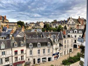 Appartements ☆ Sur les toits de Blois ☆ T2 avec vue Chateau : Appartement 1 Chambre