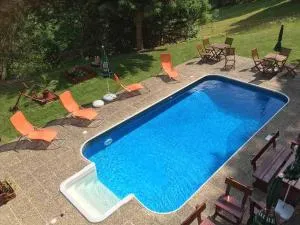 Hotel Flora Dolní Mísečky - Dolni Misecky