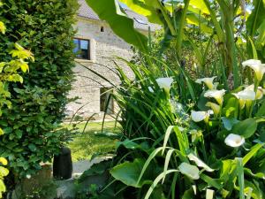 Les Pieds dans leau, Gîte la Source