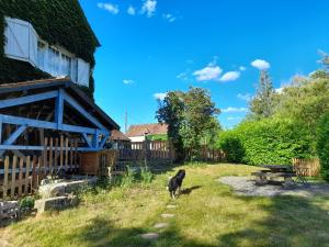 B&B / Chambres d'hotes Le Moulin du Chatelier : photos des chambres