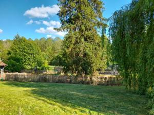 B&B / Chambres d'hotes Le Moulin du Chatelier : Grande Chambre Double 