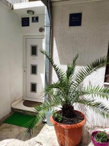 Kuzma Rooms 2