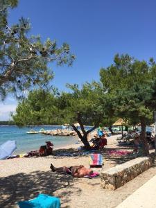 Apartment in Punat with Terrace, Air conditioning, Wifi, Washing machine (3829-3) 
