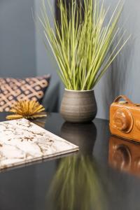 Indigo Pass Boutique Hotel