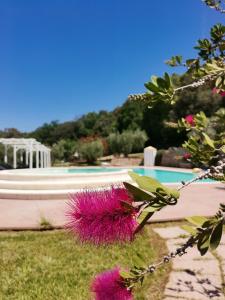 Il Rosmarino Appartamenti