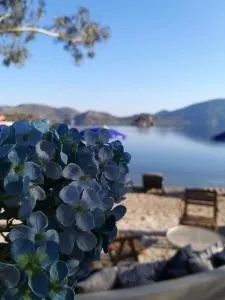 Selimhan Otel - Orhaniye