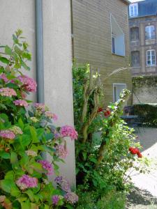 Appartements Joli duplex, terrasse a deux pas du vieux port : photos des chambres