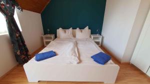 Apartment in Siofok 1