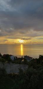 Apartment in Murter with sea view, terrace, air conditioning, Wifi 5026-2