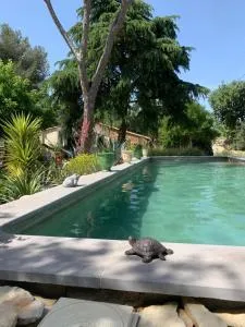 Chambres d'Hôtes Lovely Planette - Mas-de-Ponge