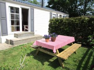Chalet 556 op Recreatiepark De Wielen