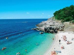 Apartment in Banjole with terrace, air conditioning, WiFi, washing machine 3360-3 