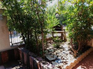 Le Pavoncelle Blu img23