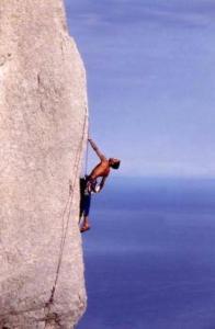 Le Pavoncelle Blu img27