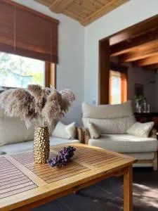 Schneider - بافيلوستا