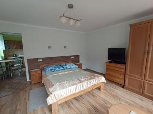 Apartment with Terrace room in POKOJE GOŚCINNE DOMINIK