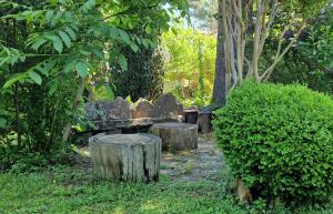 Finca Axarquía de Gredos