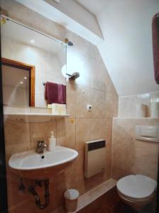 Apartman Ivi 