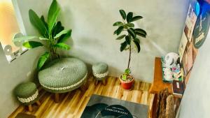 Hidden of Cailan Family Room