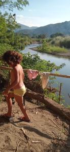 4 Pohon - Les 4 Arbres