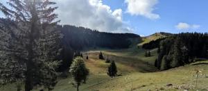 Cahute de montagne pour profiter du Haut Jura