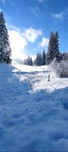 Cahute de montagne pour profiter du Haut Jura