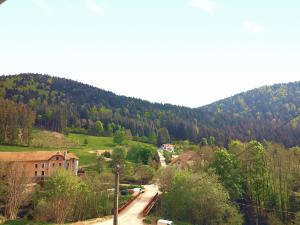 Appartements ⁂⁂ LE GRAND DUC Appartement [CLEDICIHOME] / Magnifique vue sur les montagnes / 4 KMs DE GERARDMER ! ⁂⁂ : photos des chambres