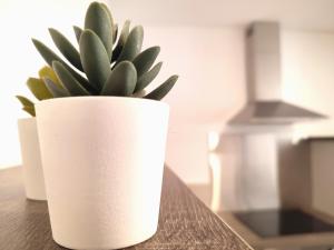 ⁂⁂ LE GRAND DUC Appartement [CLEDICIHOME] Magnifique vue sur les montagnes 4 KMs DE GERARDMER ! ⁂⁂