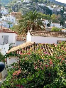 Hydra's Hidden Gem - Mandraki