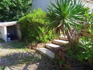 Appartements Appartement d'une chambre avec piscine partagee jardin clos et wifi a Le Luc : photos des chambres