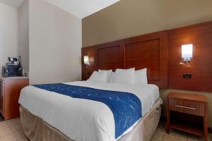 King Suite - Accessible/Non-Smoking room in Comfort Suites Gainesville