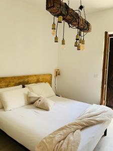 Rossella alla Villarella dei Tulipani