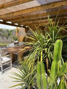Ocean House - next to Ribeira dilhas Ericeira Surf Beach