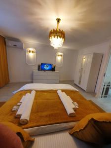 Old Town Bucharest Collection