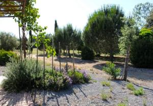 Agriturismo Il Riccio