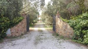 Agriturismo Il Riccio