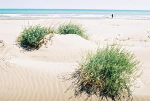 Holiday Home Paquita SB